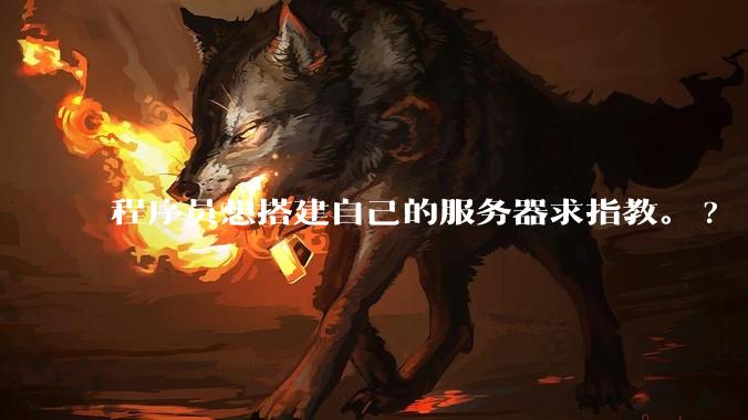 程序员想搭建自己的服务器求指教。?