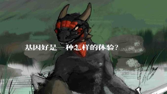 基因好是一种怎样的体验？