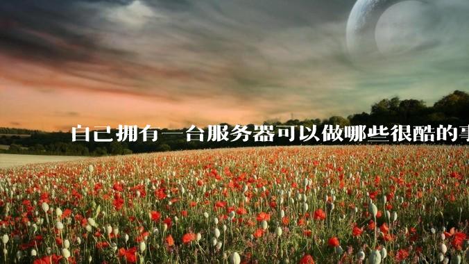 自己拥有一台服务器可以做哪些很酷的事情？