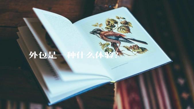外包是一种什么体验？
