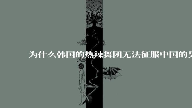 为什么韩国的热辣舞团无法征服中国的男性市场？？
