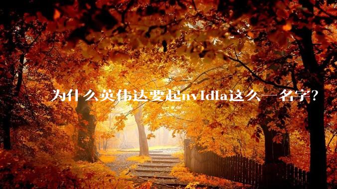 为什么英伟达要起nvidia这么一名字？