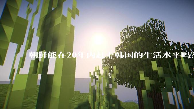 朝鲜能在20年内赶上韩国的生活水平吗？