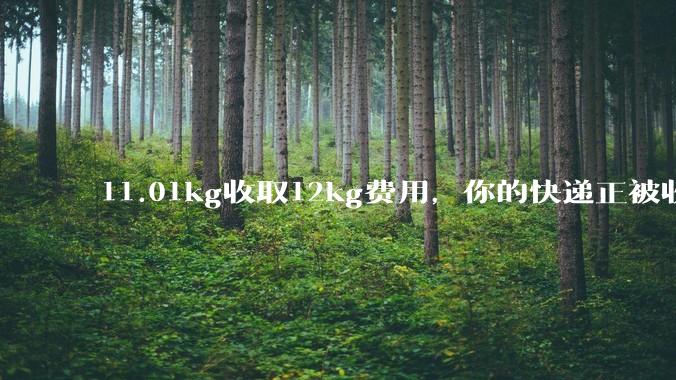11.01kg收取12kg费用，你的快递正被收取空气费 - *