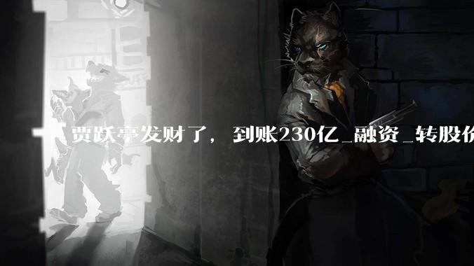贾跃亭发财了，到账230亿_融资_转股价_所有人
