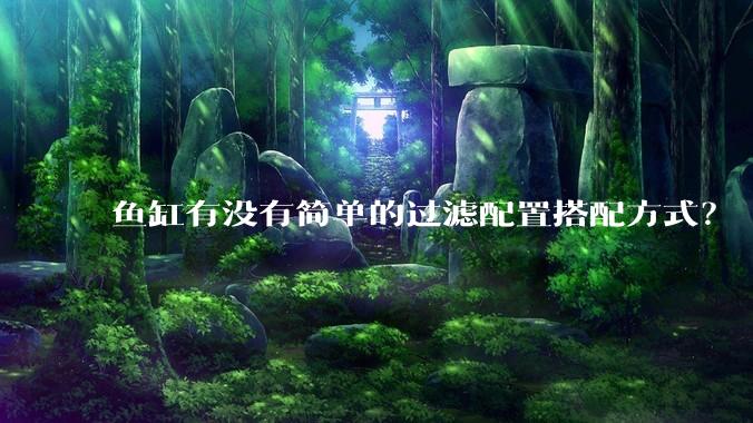 鱼缸有没有简单的过滤配置搭配方式？