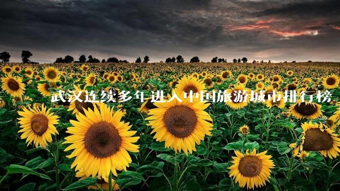 武汉连续多年进入中国旅游城市排行榜 TOP 10 行列，为什么本地人却总觉得武汉「没什么好玩的」？