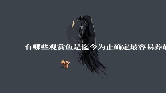 有哪些观赏鱼是迄今为止确定最容易养最不容易死的？