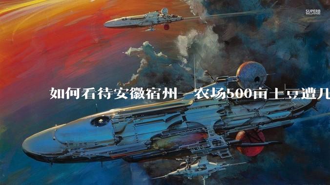 如何看待安徽宿州一农场500亩土豆遭几百名村民哄抢，曝光后民警要求种植户删帖？法不责众？如何有效维权？