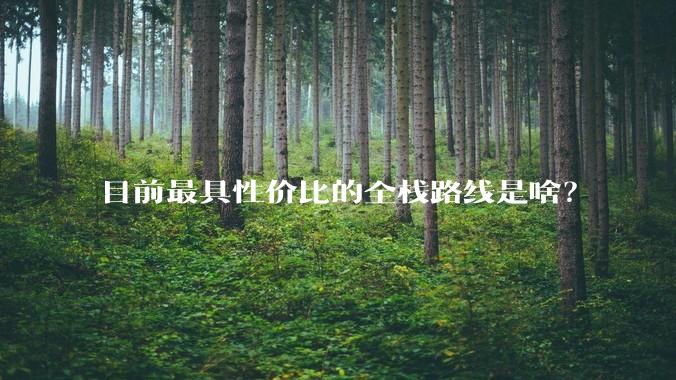 目前最具性价比的全栈路线是啥？