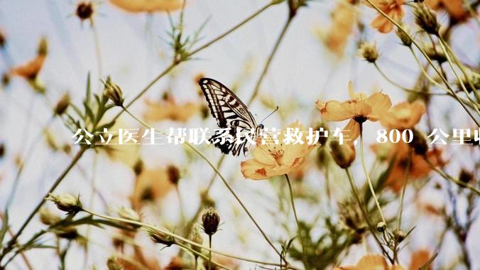 公立医生帮联系民营救护车，800 公里收费 2.8 万元，收费合理吗？救护车收费标准是什么？