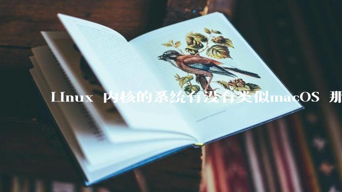 Linux 内核的系统有没有类似macOS 那样漂亮流畅的桌面环境的发行版本?