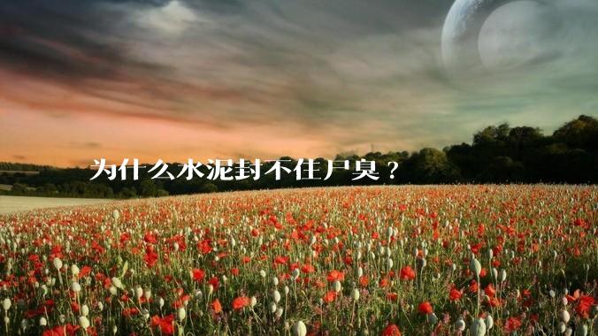 为什么水泥封不住尸臭?