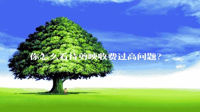 你怎么看待剪映收费过高问题？