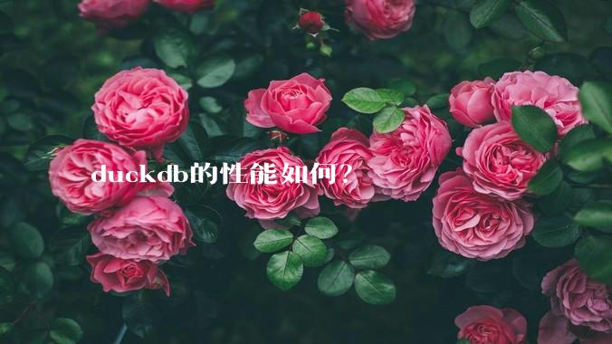 duckdb的性能如何？