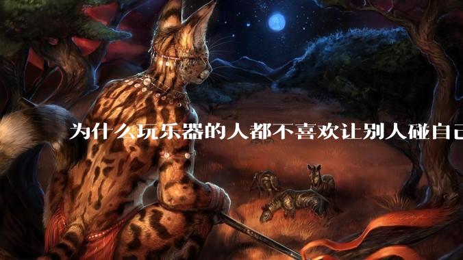 为什么玩乐器的人都不喜欢让别人碰自己的乐器？