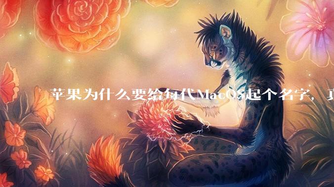 苹果为什么要给每代MacOS起个名字，真以为人们记得住分得清吗？