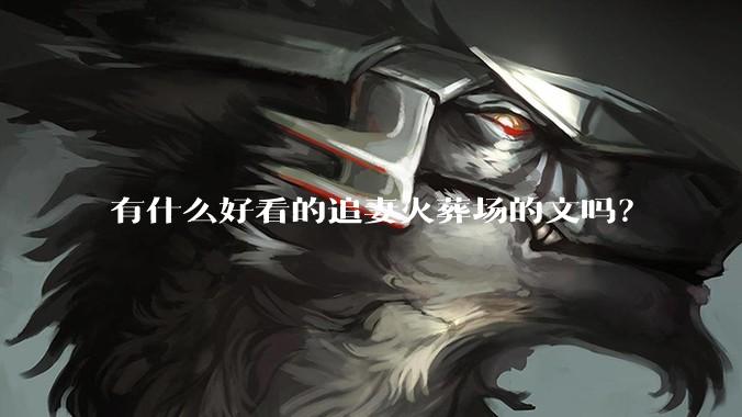 有什么好看的追妻火葬场的文吗？