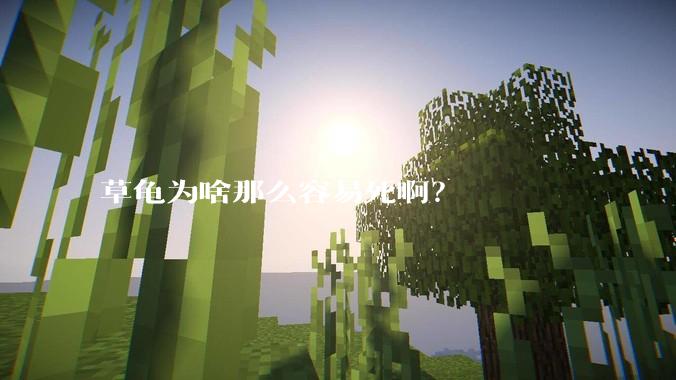 草龟为啥那么容易死啊？