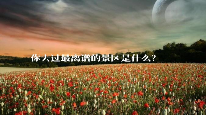 你去过最离谱的景区是什么？